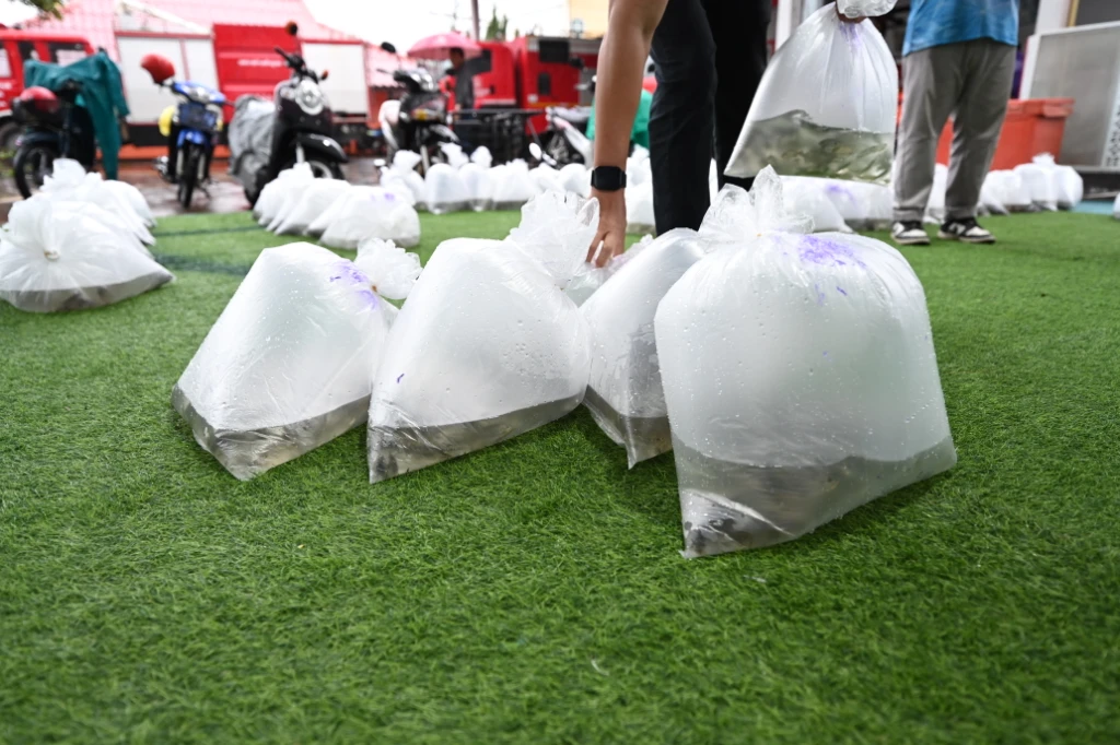 catalogs_file_1010_48_5_921312.webp