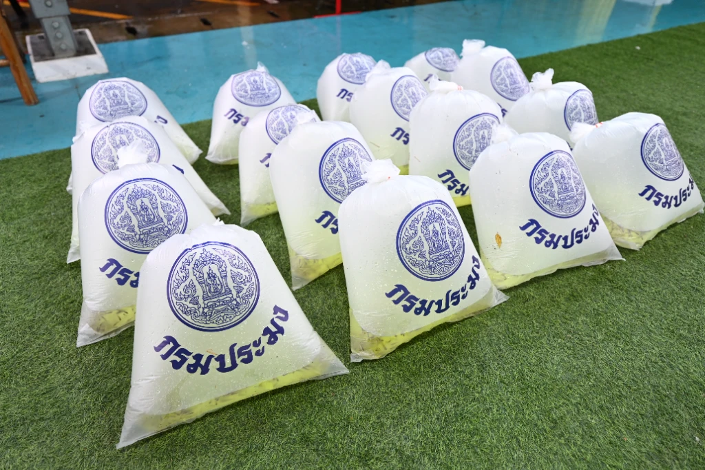 catalogs_file_1010_48_5_921563.webp