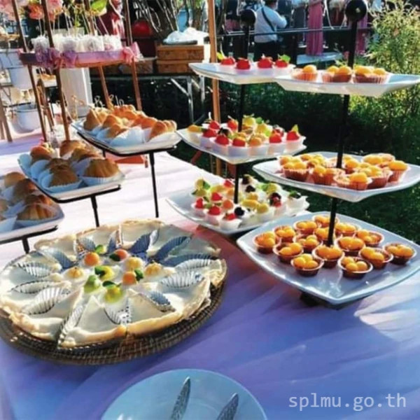 catalogs_file_916_10_10_9360.webp