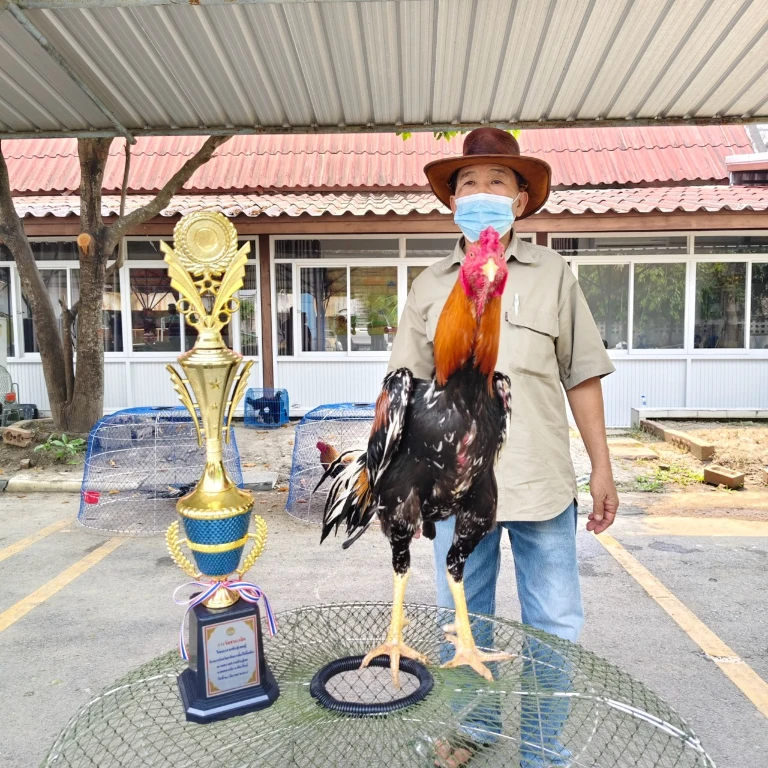 catalogs_file_955_49_47_796405.webp
