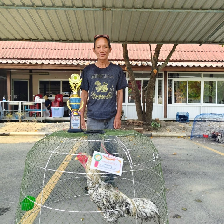 catalogs_file_955_49_47_796876.webp
