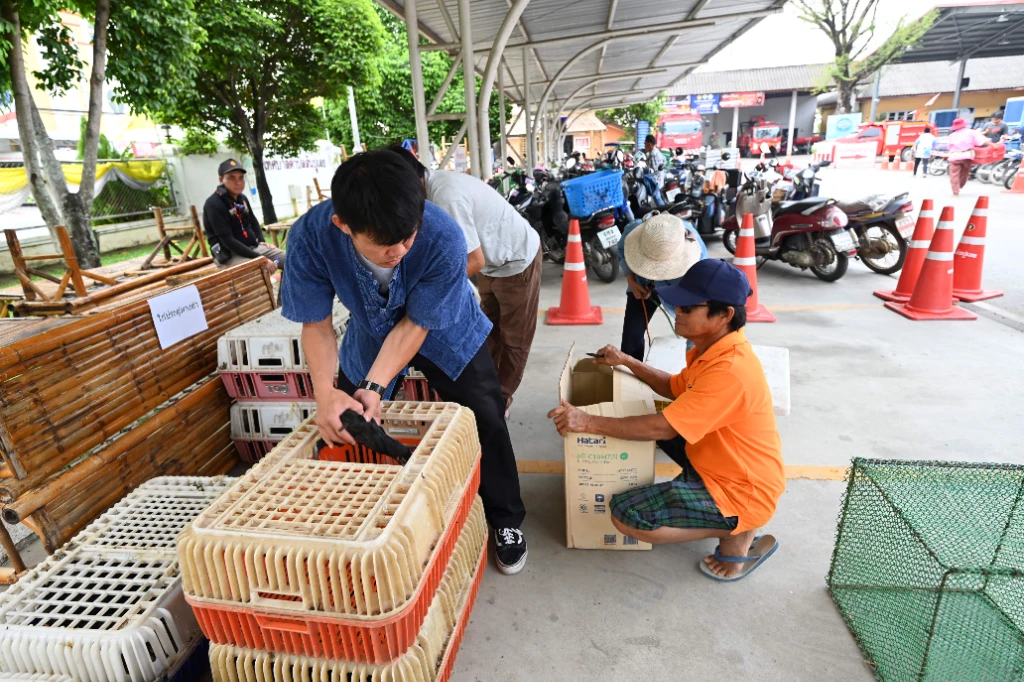 catalogs_file_955_49_47_798675.webp