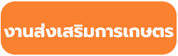 ไม่พบรูป