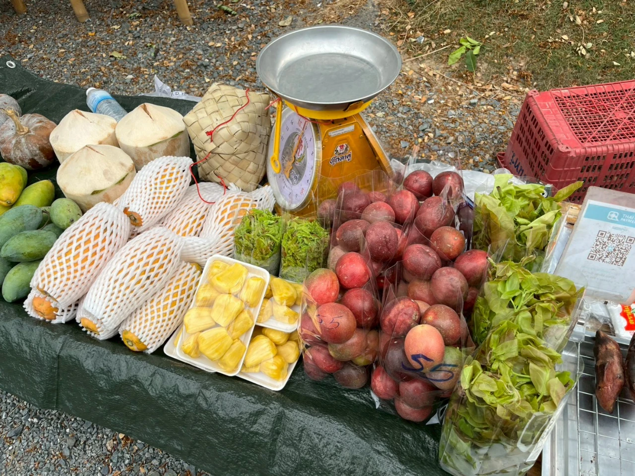 catalogs_file_1227_12_37_309651.webp